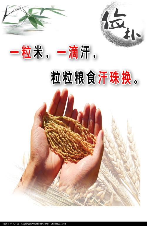 爱荷华州结婚证怎么买到